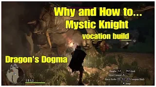 Mystic Knight Vocation Build Dragon's Dogma