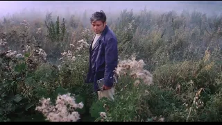 Solaris by Andrei Tarkovsky