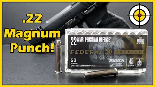 How GOOD Is It? NEW Federal Premium PUNCH .22 Magnum Ballistic Gel Test With the WMP & Barkeep!