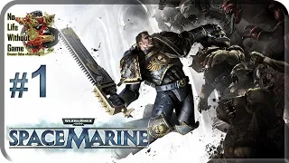 Warhammer 40000:Space Marine[#1] - Высадка (Прохождение на русском(Без комментариев))