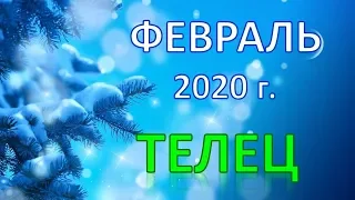 ♉ТЕЛЕЦ♉. ❄️ ФЕВРАЛЬ 2020 г. ☃️ ПОДРОБНЫЙ ТАРО ПРОГНОЗ 🌟