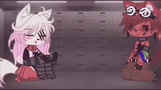 Foxy and Mangle stuck in a room lol (FNAF)
