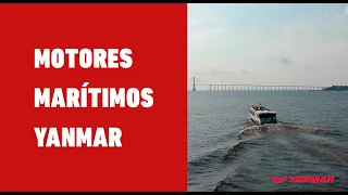 Motores Marítimos Yanmar