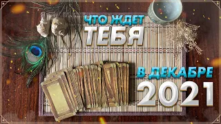 Онлайн гадание на Таро: Что ждет вас в декабре 2021 | Карты Таро | Прогноз на декабрь