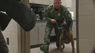 APD K9 officer has record of high profile arrests