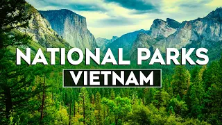 Top 10 Most Beautiful National Parks in Vietnam - Travel Video 2024