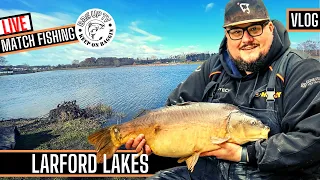 LIVE MATCH FISHING: LARFORD LAKES | GOLDEN ROD PRACTICE MATCH FRIDAY | BAGUPTV MARCH 2023