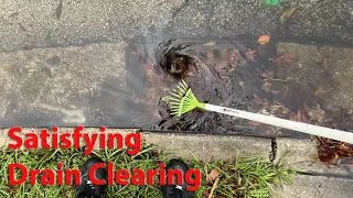 Clearing Storm Drains Around my House to Prepare for Hurricane