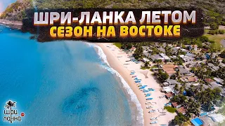 ШРИ-ЛАНКА ЛЕТОМ / Сезон на востоке: Тринкомали, Уппувели, Нилавели