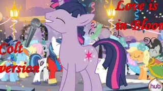 MLP FIM - Love is in Bloom - Colt Version