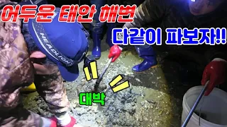 빠르게 확 빠져나간 썰물에 항구 바닥은 자연산 먹거리와 안주가 바글바글 난리났다!!