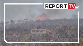 Vlorë, zjarr i përmasave të mëdha në fshatin Risili, 3 mjete zjarrfikëse në vendin e ngjarjes!