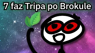 7 faz tripa po 🍃 MAGICZNYM BROKULE 🍃