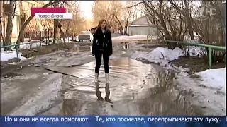 Лучшие приколы в Новостях