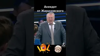 Россия и Украина! Анекдоты от Жириновского!