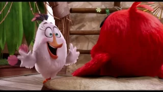 Angry Birds Movie Anger Management Class HD