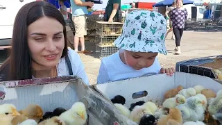 Ринок з тваринами та цінами на них.Івано-Франківський.