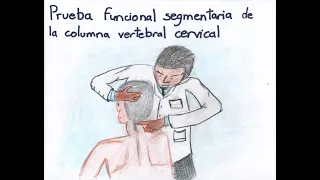 Prueba Funcionaria Segmentaría de la columna vertebral cervical, exploración de columna vertebral.