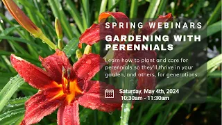 Gardening with Perennials