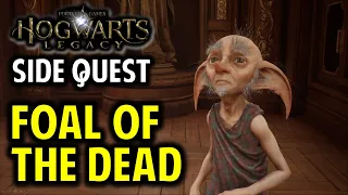 Foal of the Dead Walkthrough | Rescue Thestral & Breed the Thestrals | Hogwarts Legacy