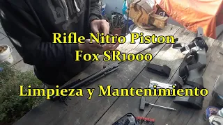 Limpieza y Mantenimiento SR1000 Nitro Piston