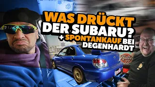 JP Performance - Was drückt der Subaru? | Leistungsmessung bei Marco und Spontankauf!