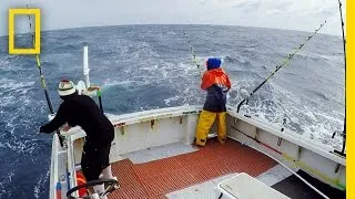 Two Bites for the Pin Wheel | Wicked Tuna: Outer Banks