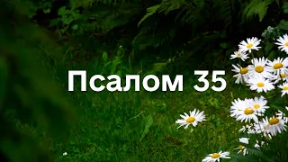Псалом 35 під звуки дощу та спів пташок, для відпочинку та відновлення, сучасною українською мовою