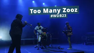 Too Many Zooz – Live at Woodstock der Blasmusik 2023