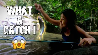 HIKE to a WATERFALL, Fishing, CATCH & COOK | Sg Lepoh/Lopo Waterfall, Hulu Langat
