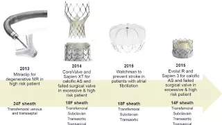 Catheter-Based Therapies for Structural Heart Disease