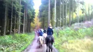 Dackscheid Galopp Hohlweg