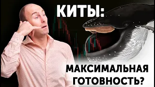 Большой КИТ всех поглотил!! Что происходит сейчас на рынке криптовалют?