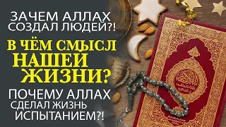 ДЛЯ ЧЕГО ВСЕВЫШНИЙ АЛЛАХ СОЗДАЛ ДЖИНОВ И ЛЮДЕЙ?! ЗАЧЕМ МЫ ЖИВЁМ?