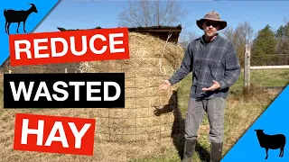 Feeding Round Hay Bales to Sheep and Goats