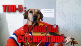 Приколы со скрипкой / топ - 5 приколов со скрипкой / violin funny moments