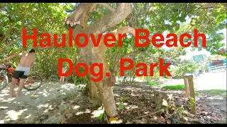 Haulover Beach Dog Park