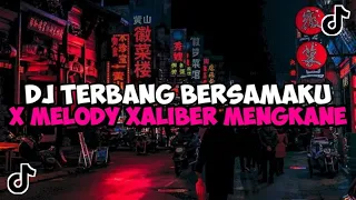 DJ TERBANG BERSAMAKU X MELODY XALIBER JEDAG JEDUG MENGKANE VIRAL TIKTOK