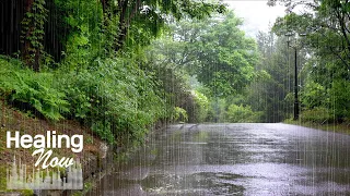 Rain Sounds on the Walk are so Relaxing that I Fall Asleep. 10 Hour Sleep-Inducing Rain for Sleep