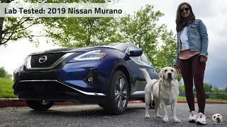 2019 Nissan Murano Platinum AWD: Andie the Lab Review!