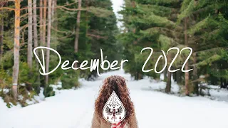 Indie/Rock/Alternative Compilation - December 2022 (2-Hour Playlist)