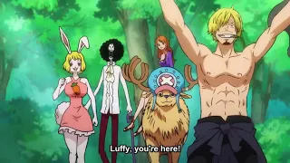 One Piece Strawhats reunite - Wano Kingdom