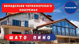 Обзор и экскурсия по гравитационной винодельне Шато Пино в Новороссийске | Новороссийск 2022.