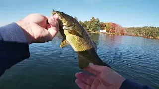 CT Stocked Atlantic Salmon