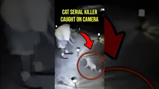 WATCH: Police Chief's Son Caught Killing Cats #crime #shorts #cctv