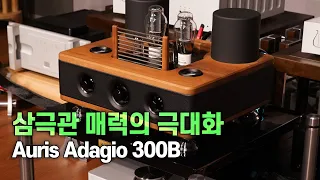 삼극관 300B 앰프의 새로운 표준을 제시한 Auris Adagio 300B