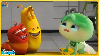 LARVA FULL EPISODES: GREEN | THE BEST OF FUNNY CLIP | CARTOONS MOVIES NEW VERSION