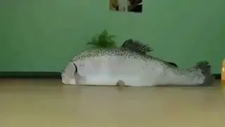 Fish Slide