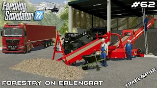 MAKING and TRANSPORTING woodchips to BPP | Forestry on ERLENGRAT | Farming Simulator 22 | Episode 62