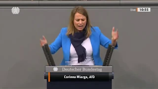 Bundestag: FDP und Grüne mit Initiativen zu EU-Grundrechten gescheitert